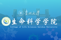 开云网页版登录入口,开云（中国） Logo